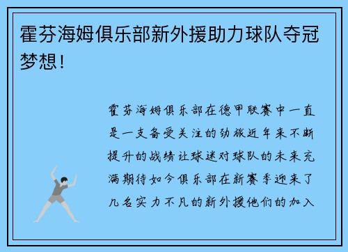 霍芬海姆俱乐部新外援助力球队夺冠梦想！
